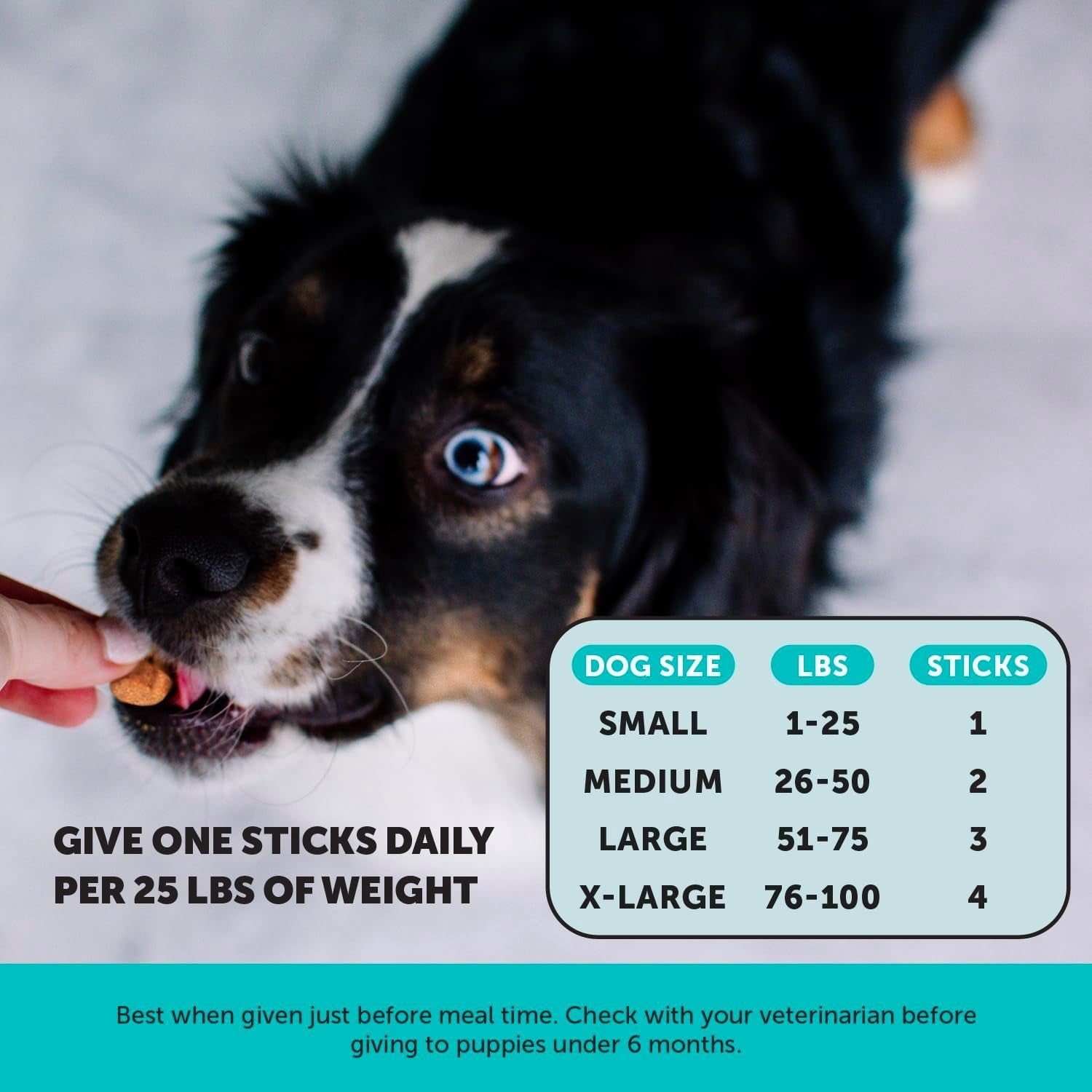 Dog Calming Bundle Hemp Calming Chews & Dental Sticks Anxiety Support