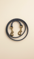 Nylon leash with matte hardware