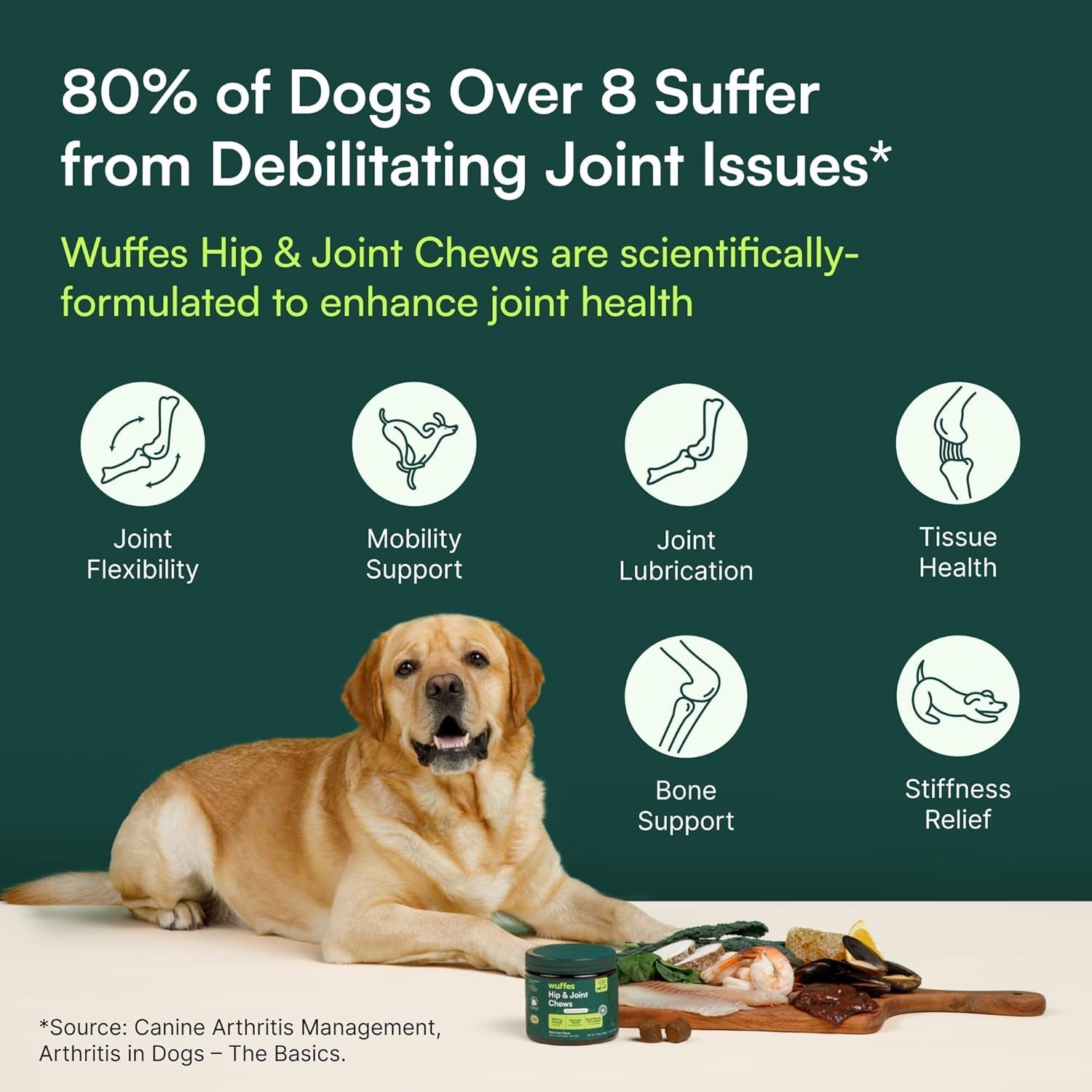 Hip & Joint Supplement & Multivitamin Bundle for Large Breed Dogs