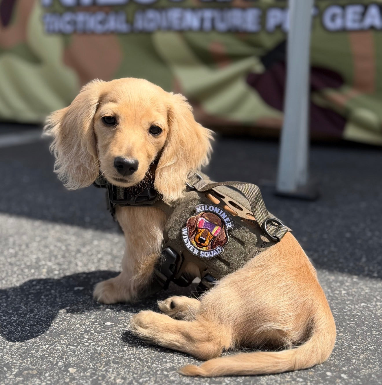 Kiloniner Wiener Squad Morale Patch