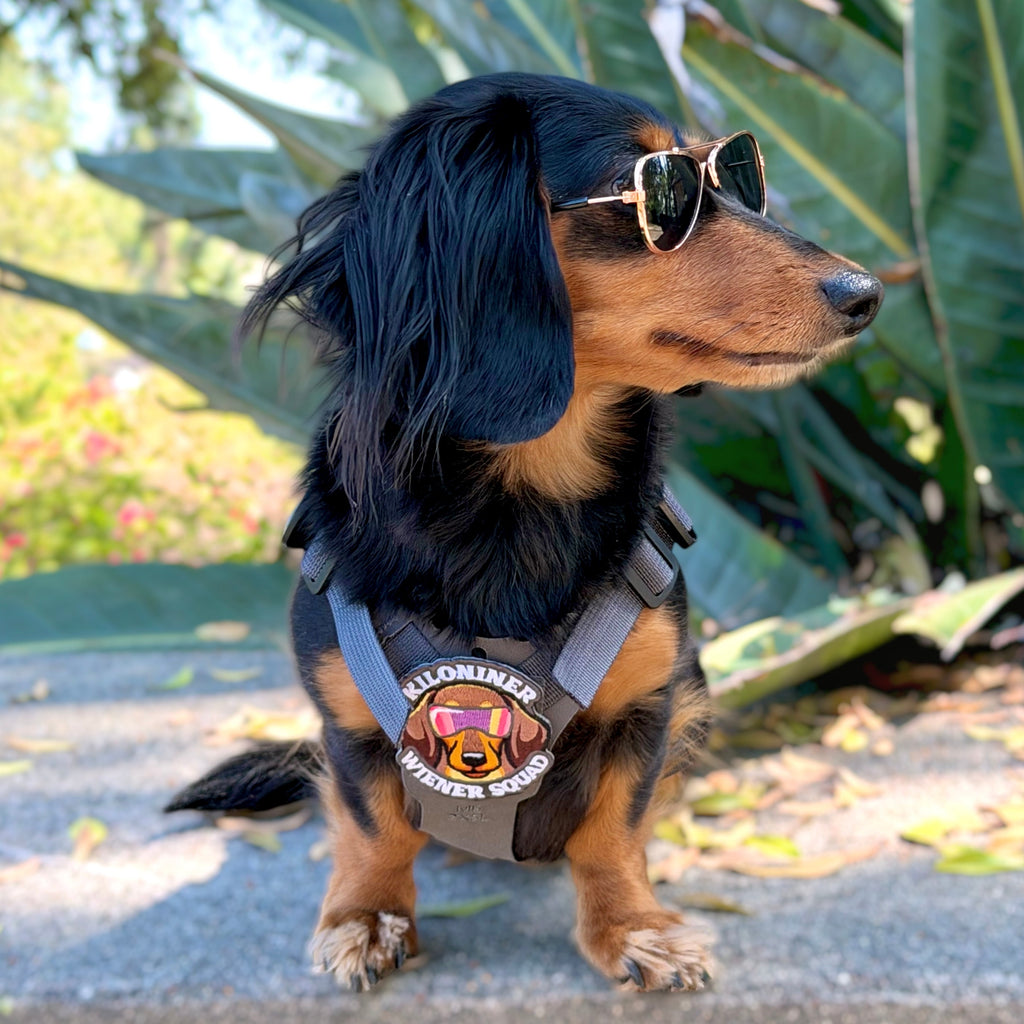 Kiloniner Wiener Squad Morale Patch