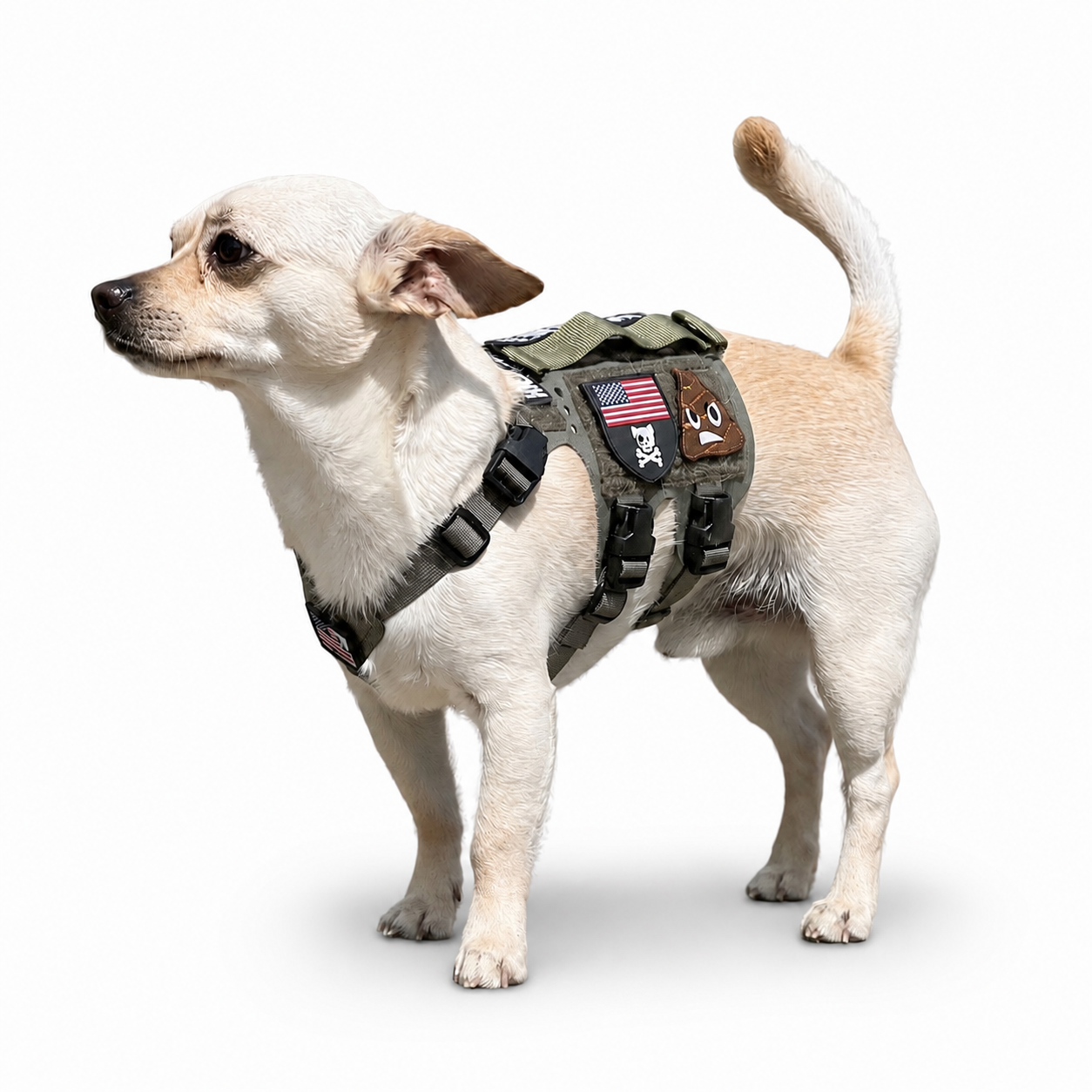 K9R - M5 MOLLE Light Harness