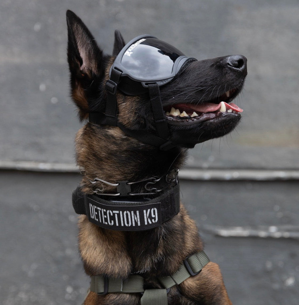 Detection K9 Laser Cut Reflective Morale Patch