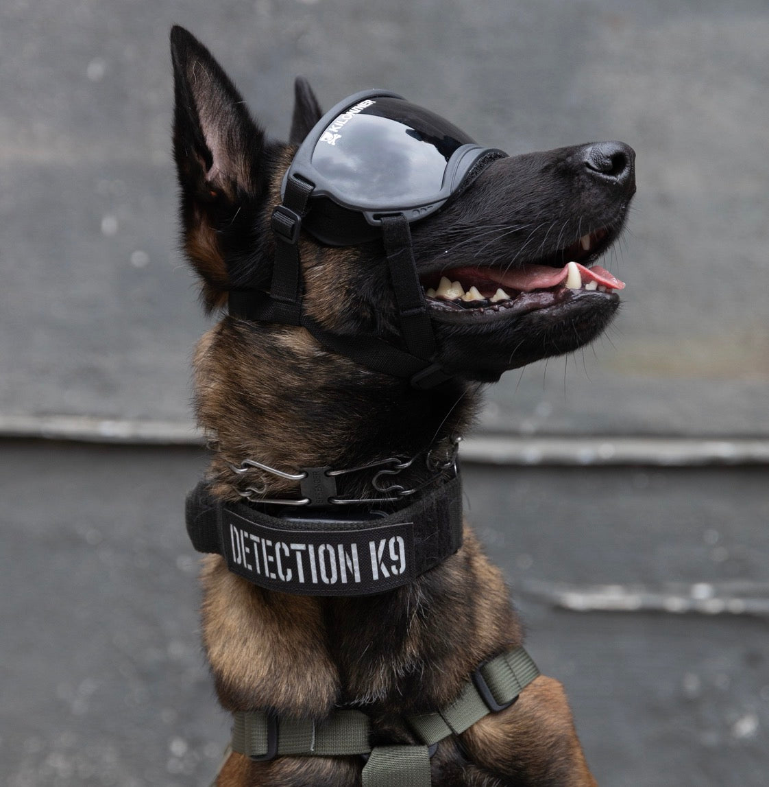 Detection K9 Laser Cut Reflective Morale Patch
