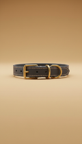 Leather dog collar with stitched edges