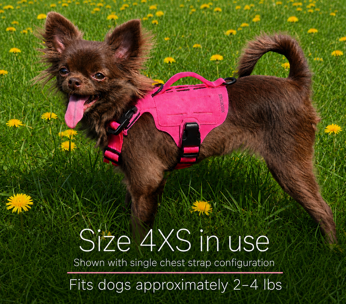 K9R - M5 MOLLE Light Harness